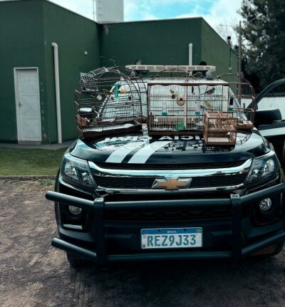 Imagem da notícia Homem é levado à delegacia após manter aves silvestres em cativeiro em Chapadão do Sul